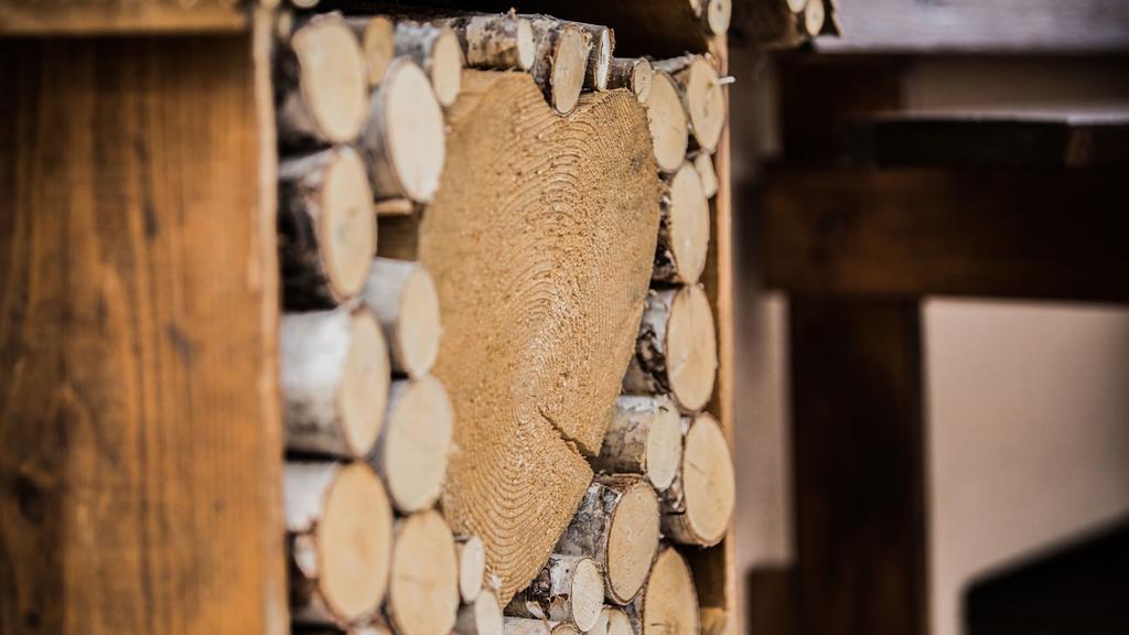 Apartmán Haus Waltraud Neustift im Stubaital Exteriér fotografie